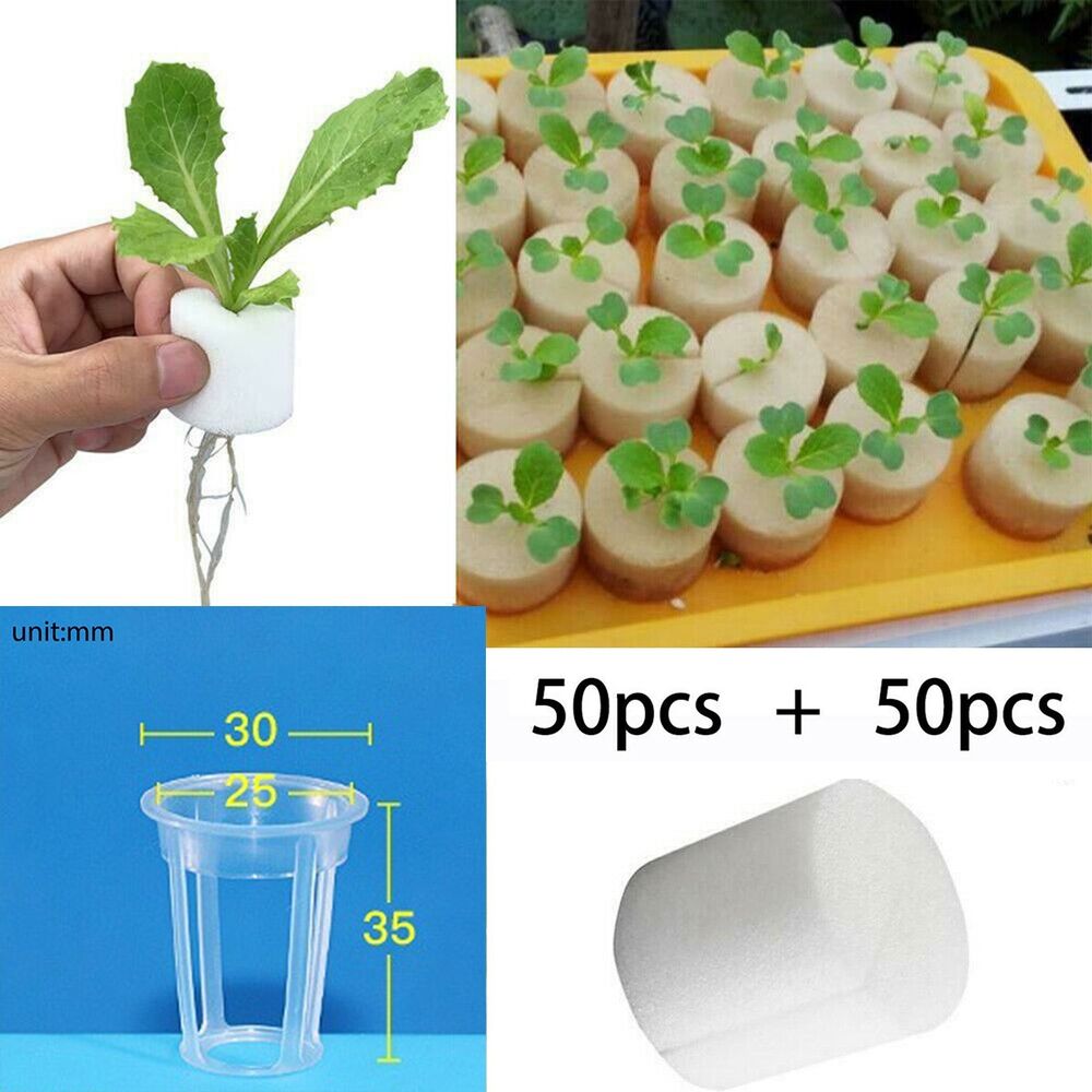 50pcs Mesh Pot Net Cup Basket Hydroponic Aeroponic Plant Grow Clone Kit Planting