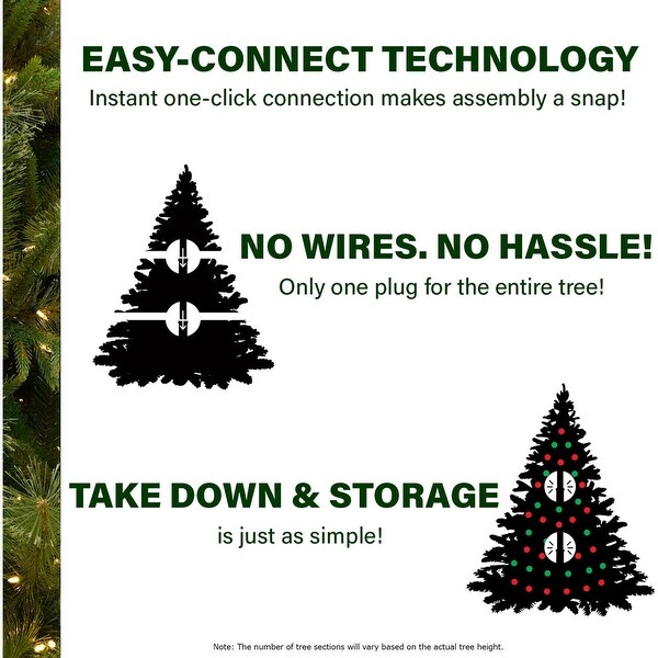 Fraser Hill Farm 6.5Ft. Foxtail Pine Christmas Tree with Warm White LED Lights