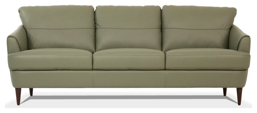 ACME Helena Sofa   Midcentury   Sofas   by Acme Furniture  Houzz