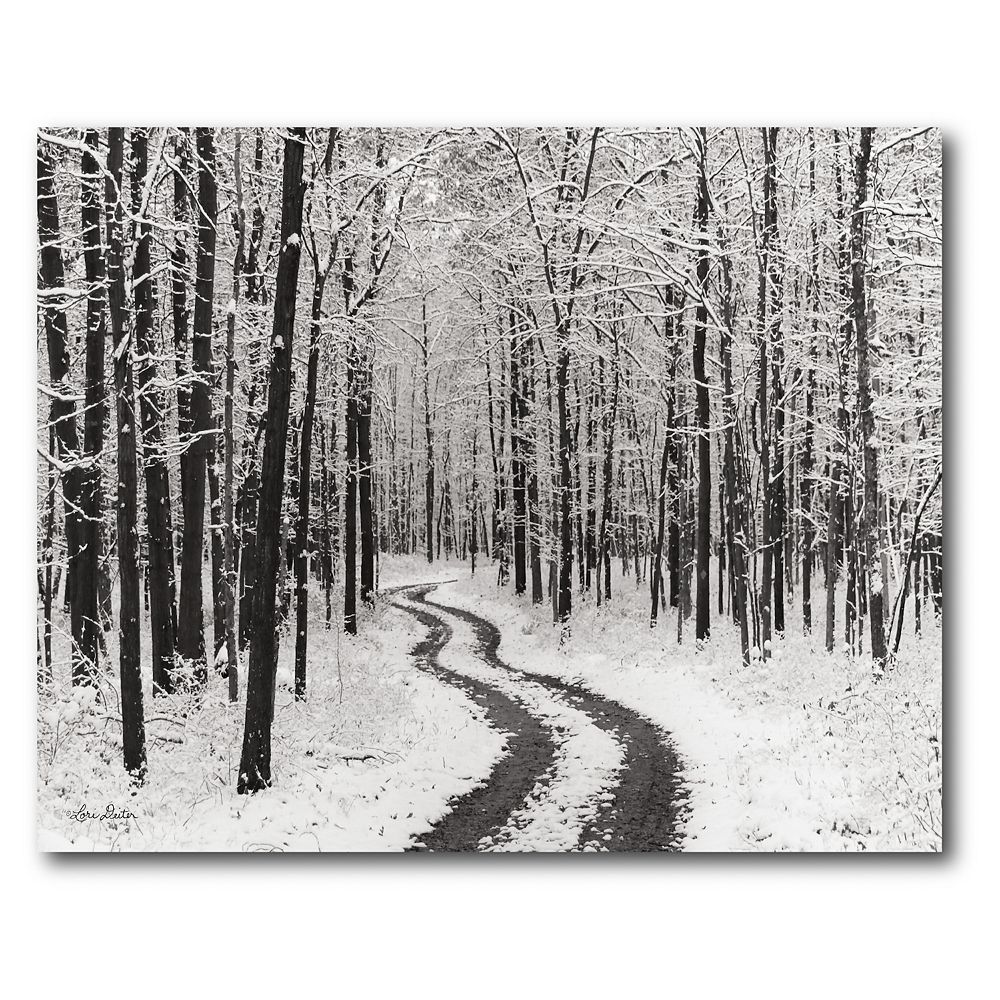 COURTSIDE MARKET Snowy Country Road Canvas Wall Art