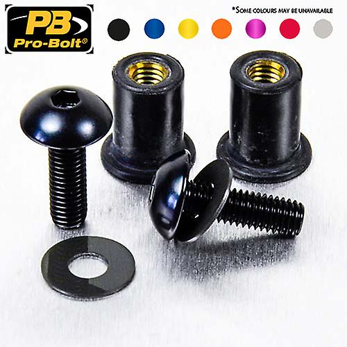 Pro Bolt Aluminium Screen Bolt Kit (2 Pack) SK2