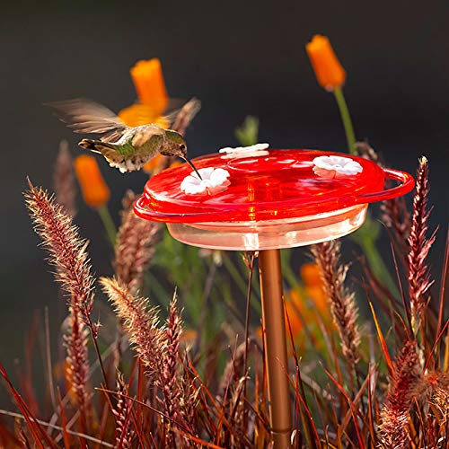 More Birds 3-in-1 Humming Bird Feeder - 6 fl oz