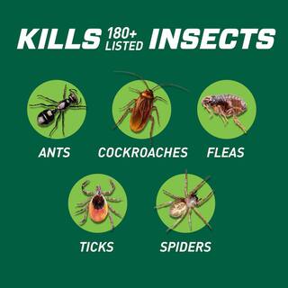 Ortho Bug B-gon 1 gal. Insect Killer for Indoor plus Perimeter1 with Trigger Sprayer 022380505