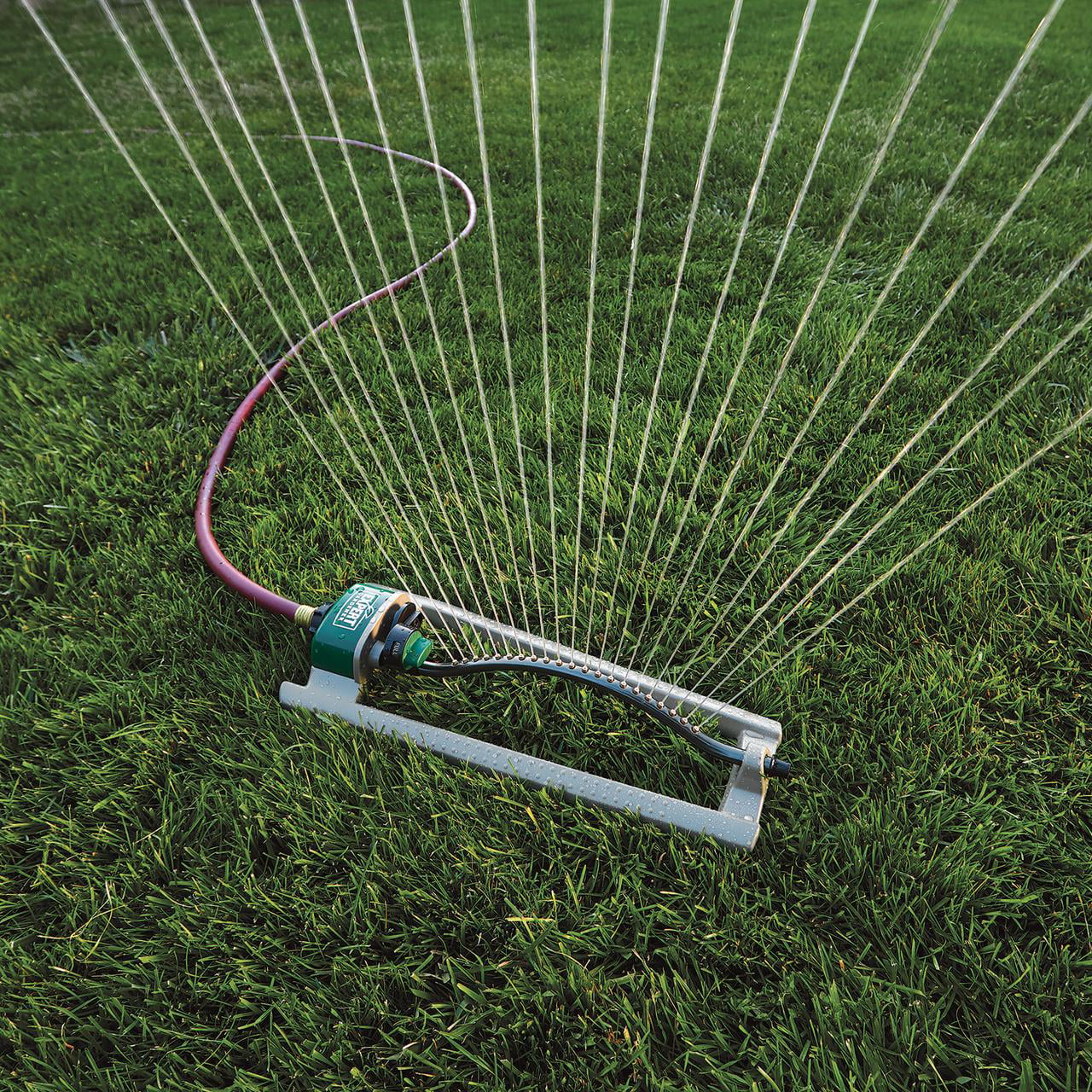 Expert Gardener Oscillating Lawn Watering Sprinkler， 3600 sq ft