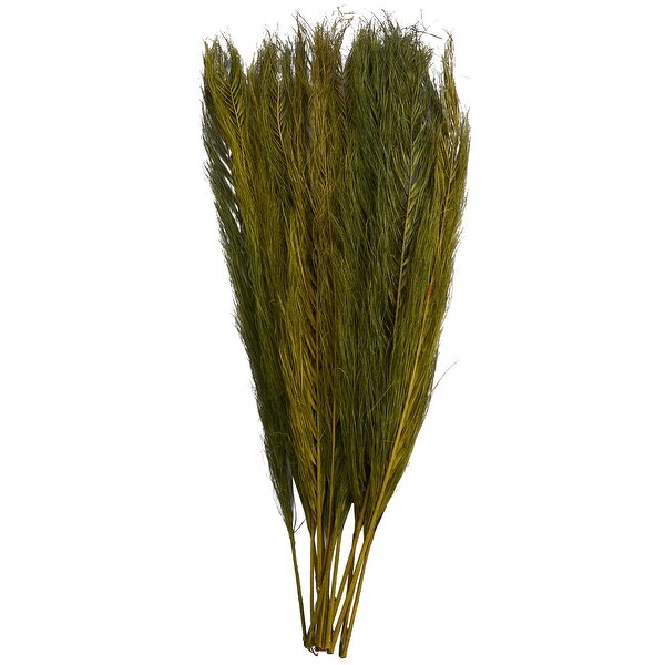 Green Dried Plant Leaves Home Decor Natural Foliage with Feather Inspired Stems