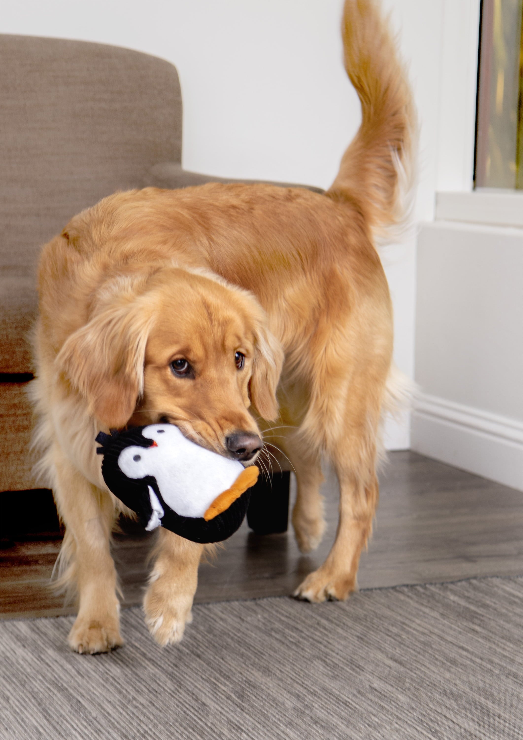 TrustyPup Penguin Ultrasonic Silent Squeaker Dog Toy， Soft Chew Resistant Plush， Medium