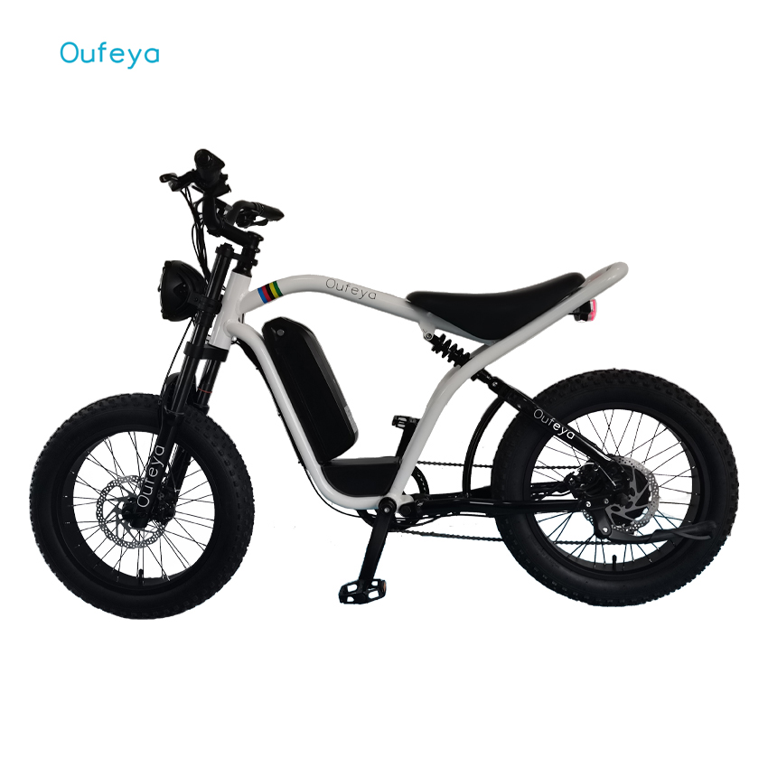 20 Inch Full suspension 4.0 Fat Tire Ebike 48V 1000W Electric Bicycle 750W Mountain e bike Power Assisted e bicycle