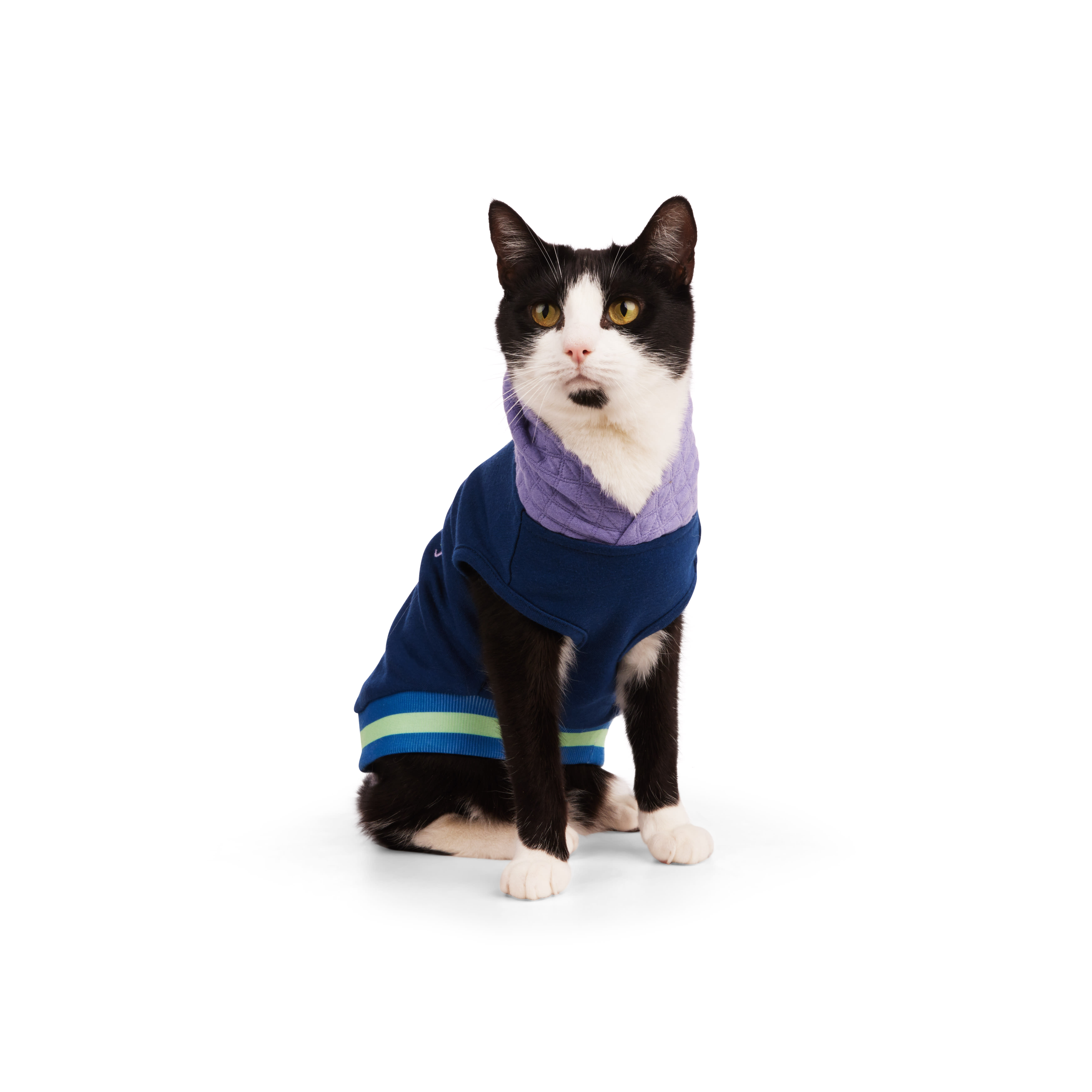 YOULY Caturday Cat Hoodie， Small/Medium