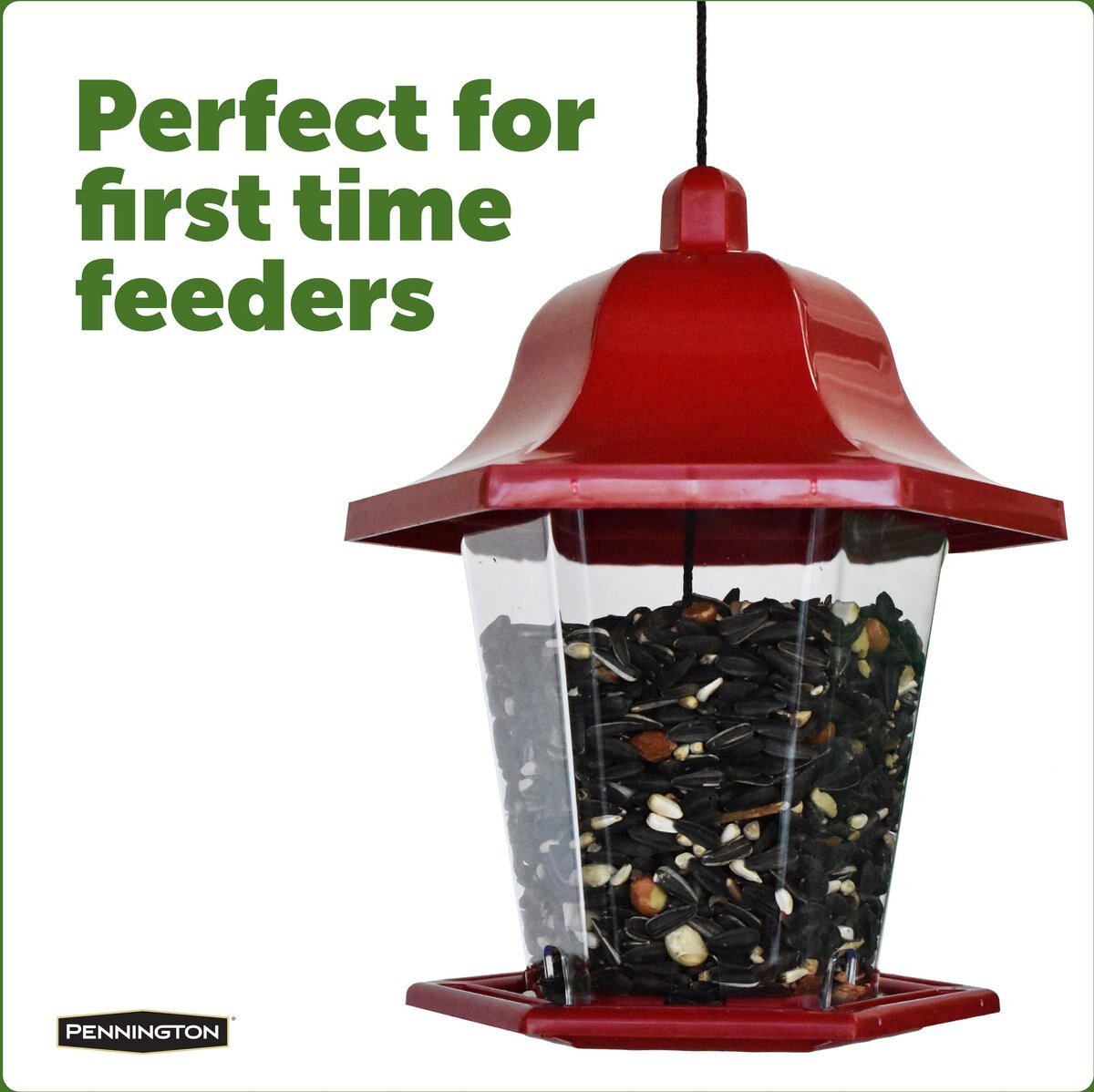 Pennington Songbird Lantern Bird Feeder