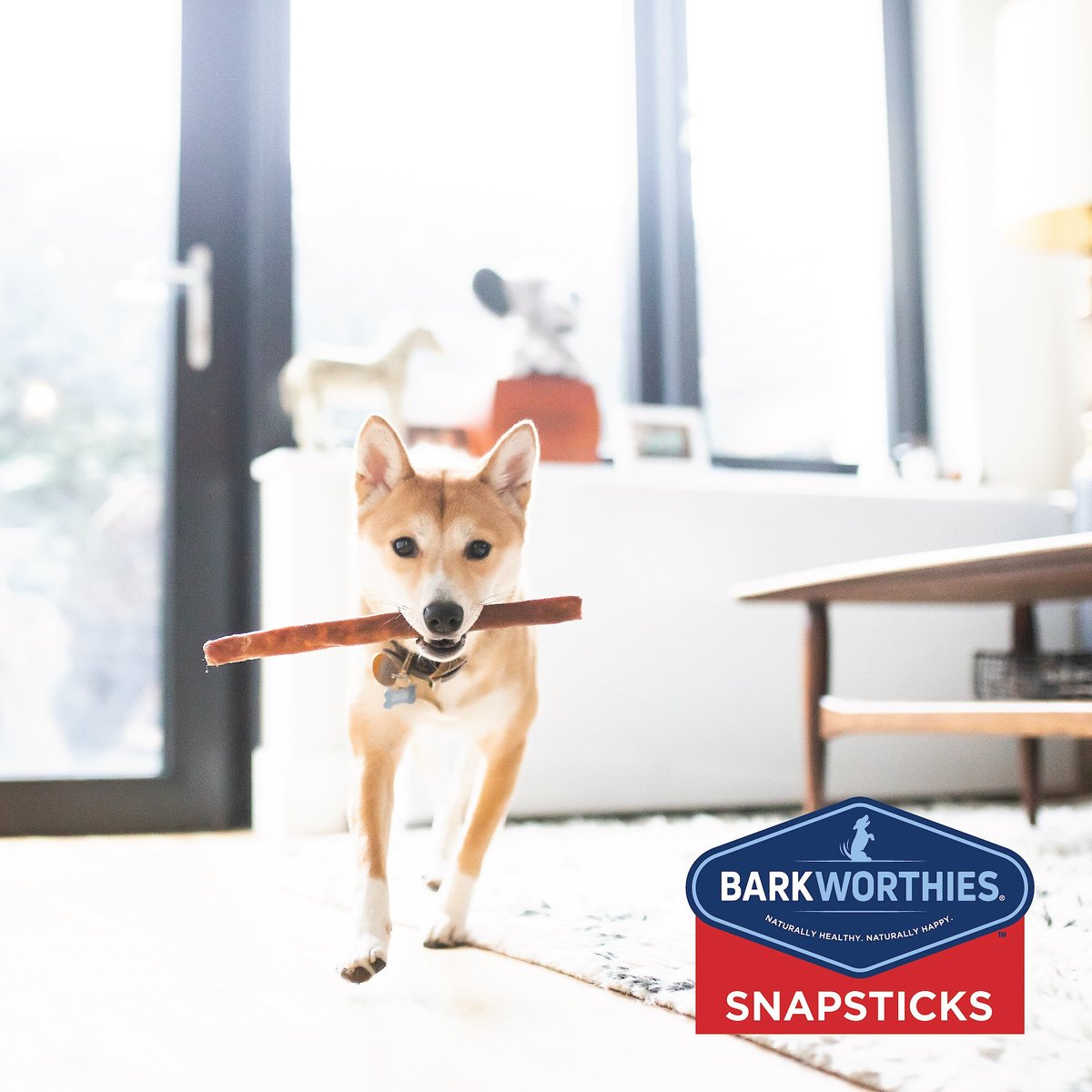 Barkworthies Snapsticks Grain-Free Dog Treats， 3 count