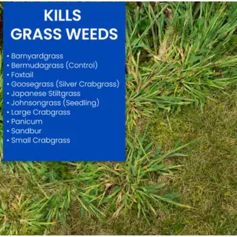 CRABGRASS KILLR 32OZ RTS