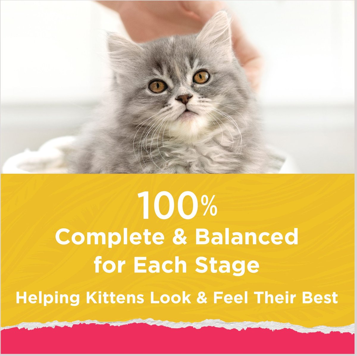 Kitten Chow Naturals Original with Added Vitamins， Minerals and Nutrients Dry Cat Food