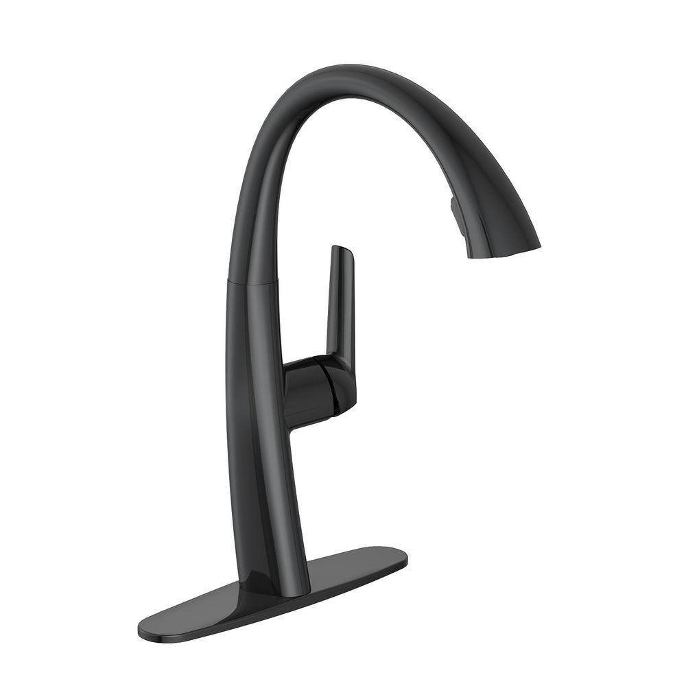 PRIVATE BRAND UNBRANDED Deveral Single-Handle Pull Down Sprayer Kitchen Faucet in Matte Black D00140O