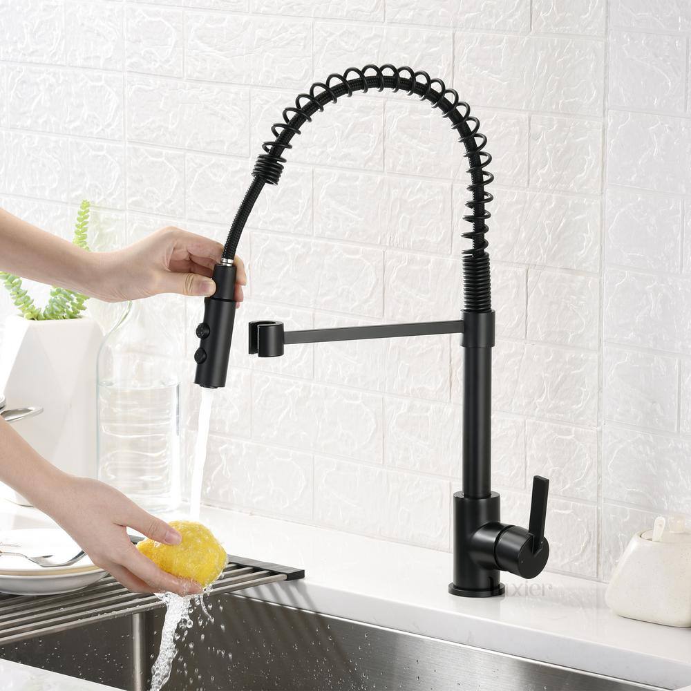 LUXIER Single-Handle Pull-Down Sprayer Kitchen Faucet with 2-Function Sprayhead in Matte Black KTS22-TM