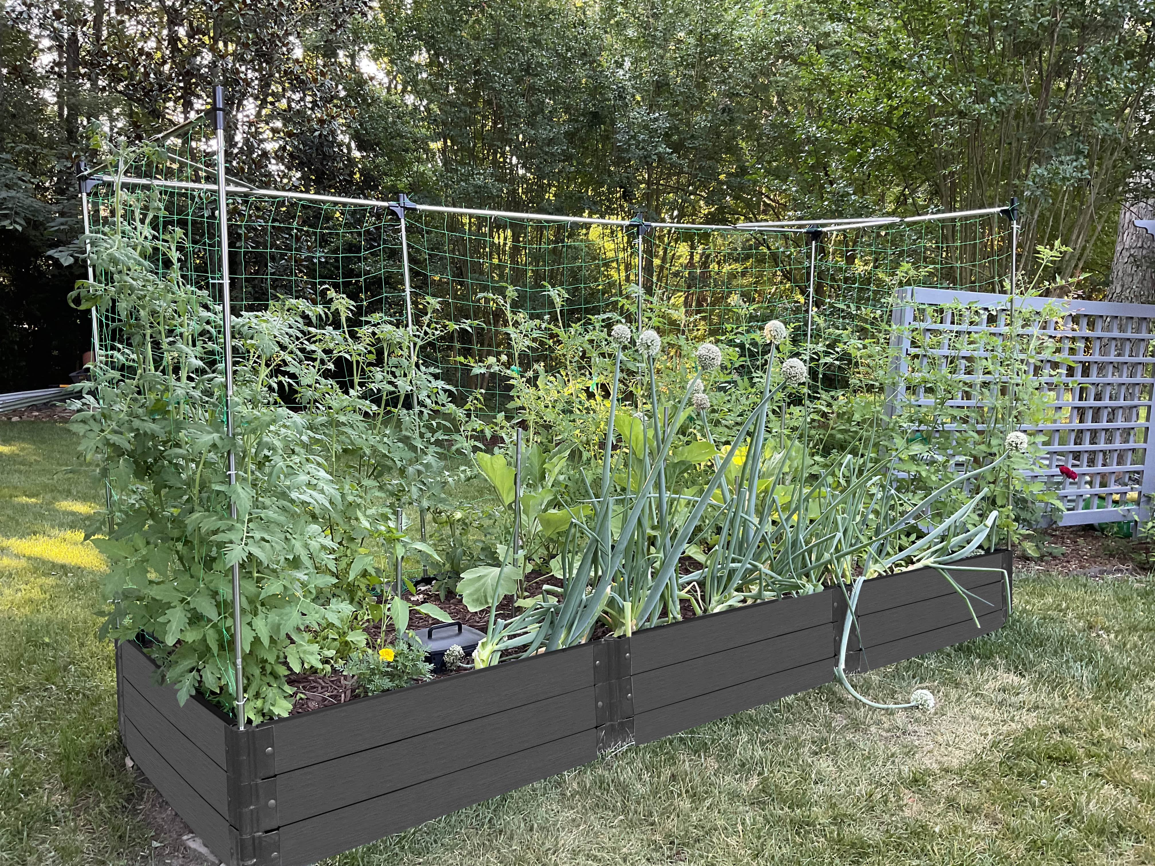 4' x 12' Raised Garden Bed with Trellis