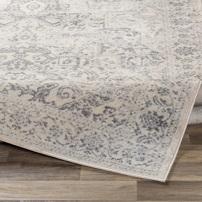 Troyes Traditional Area Rug