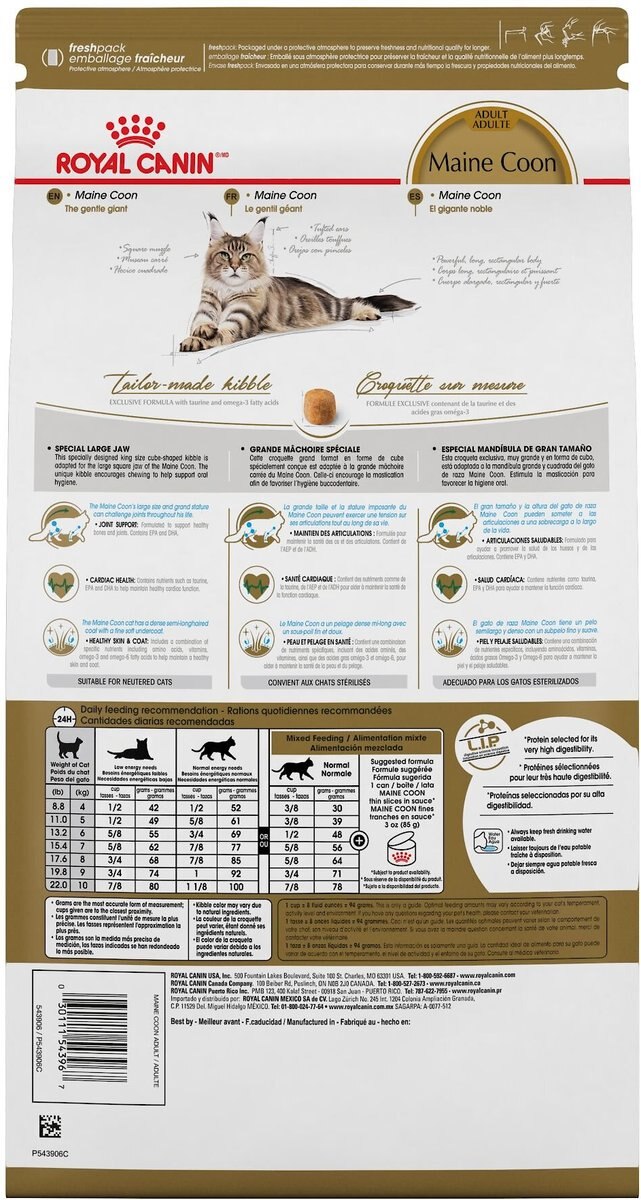 Royal Canin Feline Breed Nutrition Maine Coon Adult Dry Cat Food