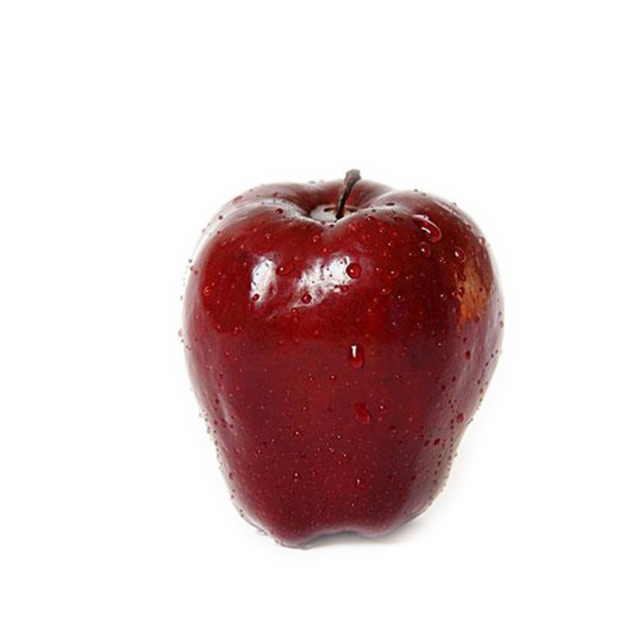 Decorative Fruit Red Apple F201419