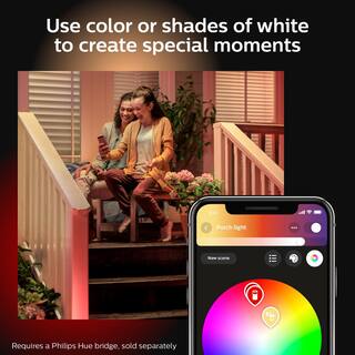 Philips Hue Econic Outdoor Smart Color Changing Wall Down Lantern with Integrated LED (1-Pack) 1744030V7