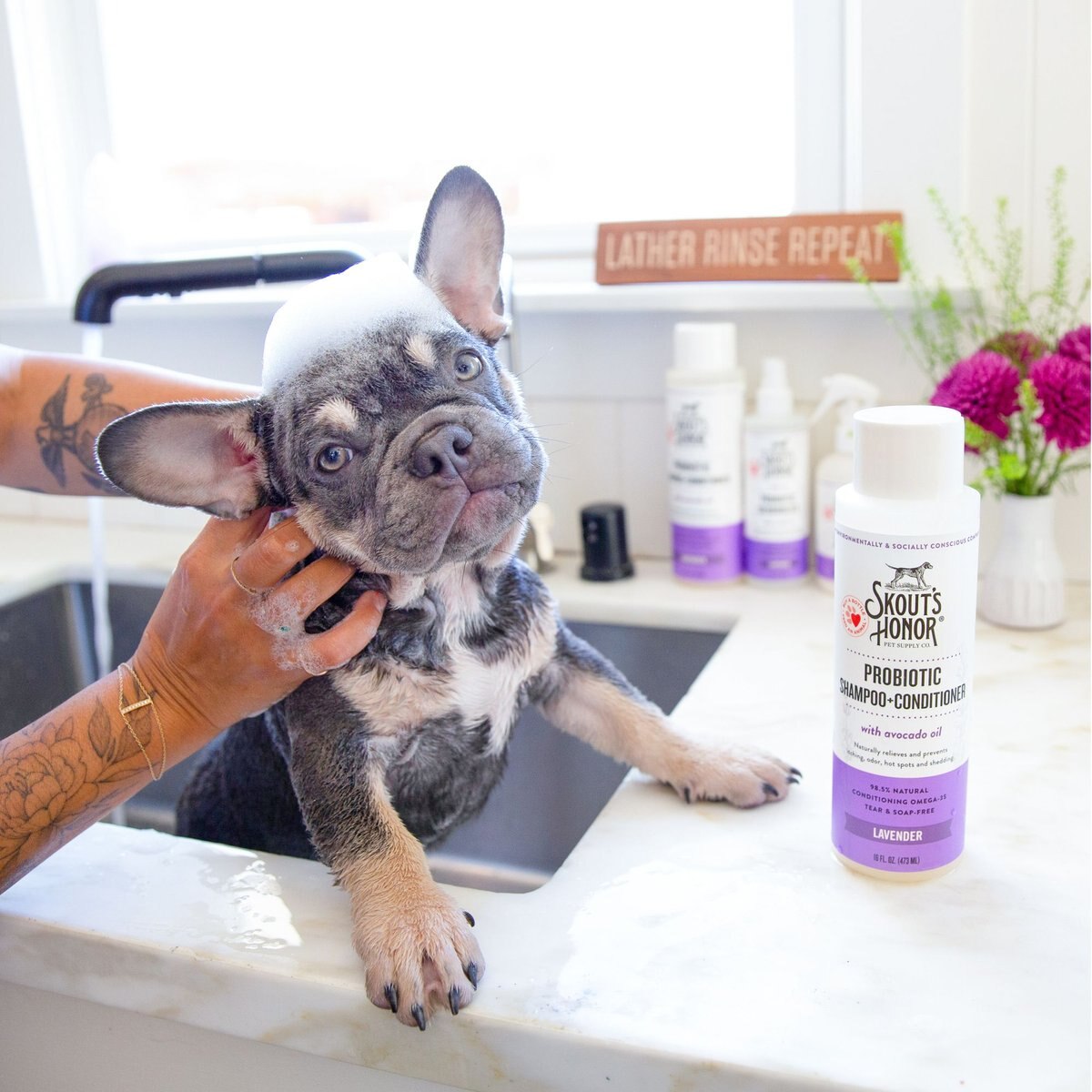 Skout's Honor Probiotic Lavender Pet Shampoo and Conditioner