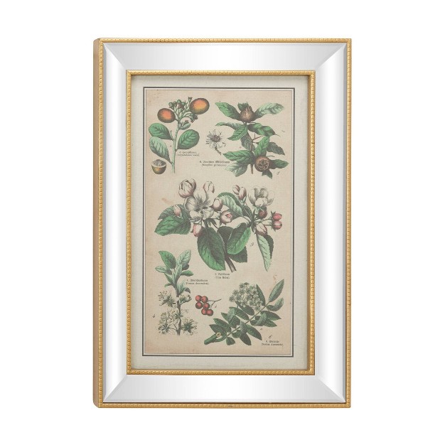 X 28 5 quot Large Vintage Style Plant Illustrations Textile In Mirror And Rectangular Frame Gold Olivia amp May