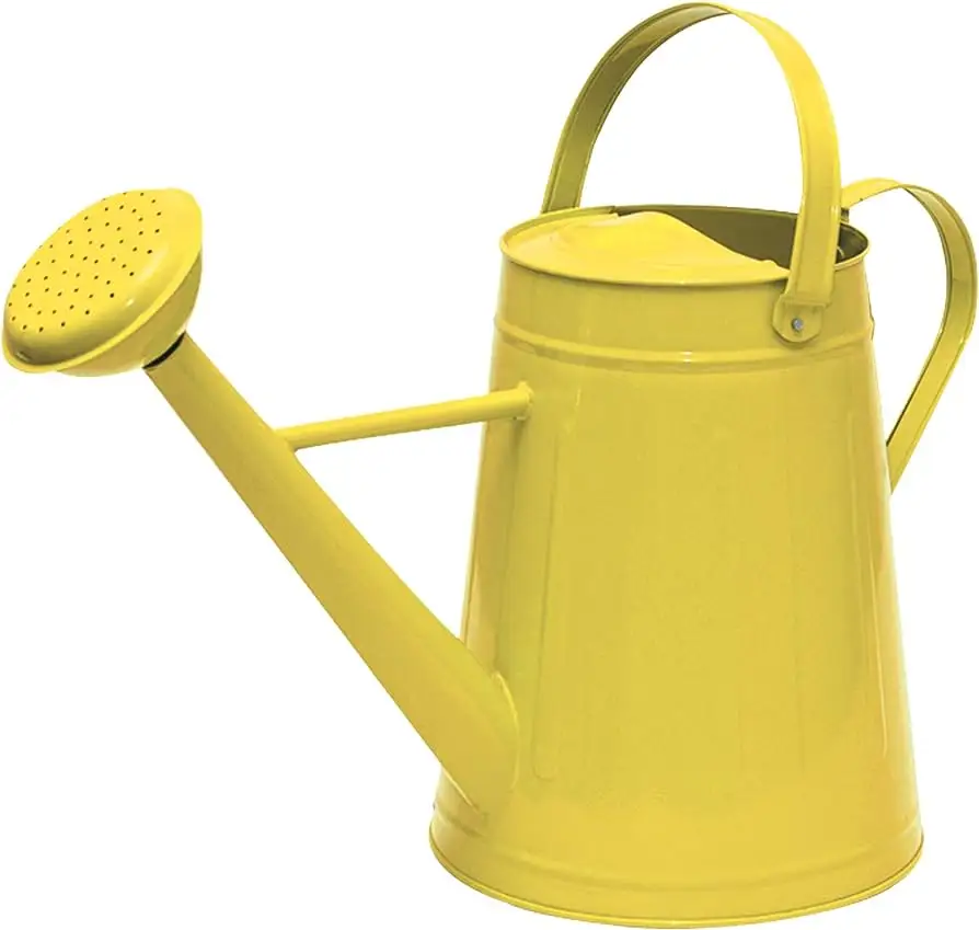 Antique Modern Metal watering can Perfect Quality Manufacturers Supply decorate garden decorate watering can