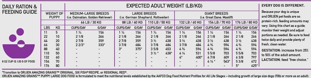 ORIJEN Amazing Grains Puppy Large Breed Dry Dog Food， 22.5-lb bag