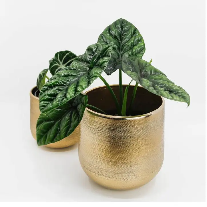 Medium Size  Customized Shape Metal Planter Home Indoor Outdoor Garden Usage Customized Size Metal Planter