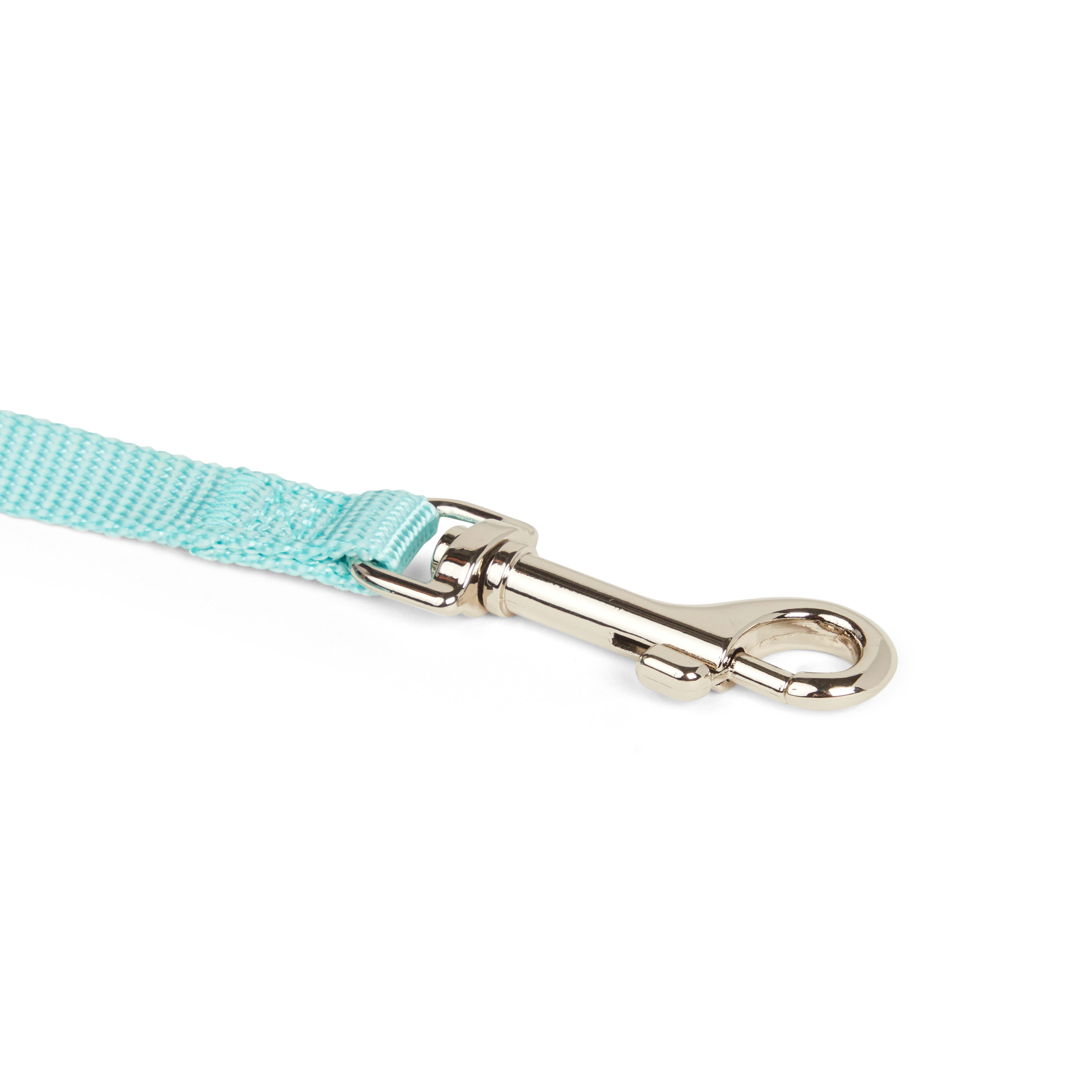 YOULY Turquoise Dog Lead， 6 ft.， X-Small