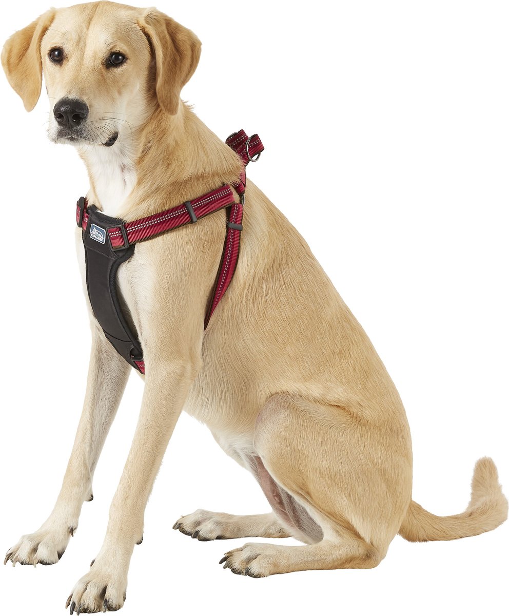 K9 Explorer Reflective Adjustable Padded Dog Harness