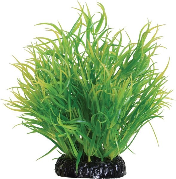 Underwater Treasures Lemon Grass Fish Ornament， 6-in