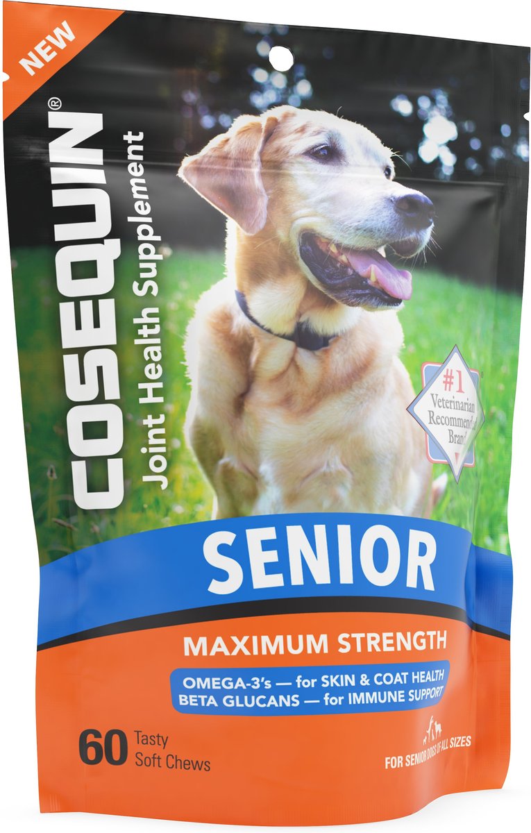 Nutramax Cosequin Immune and Joint Health Soft Chew Supplement for Senior Dogs