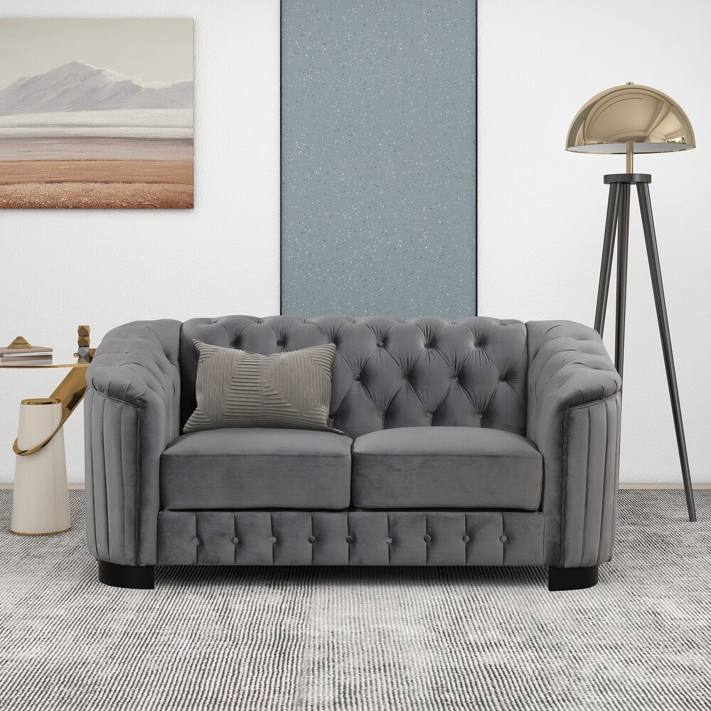 Livingroom Loveseat Modern Velvet Sofa with Removable Cushions Couch