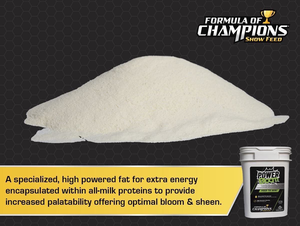 Formula of Champions Power Bloom Show Livestock Feed