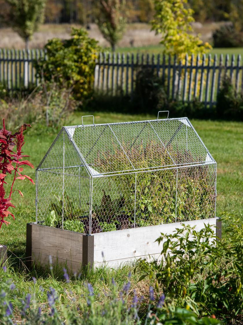 Chicken Wire Crop Coop