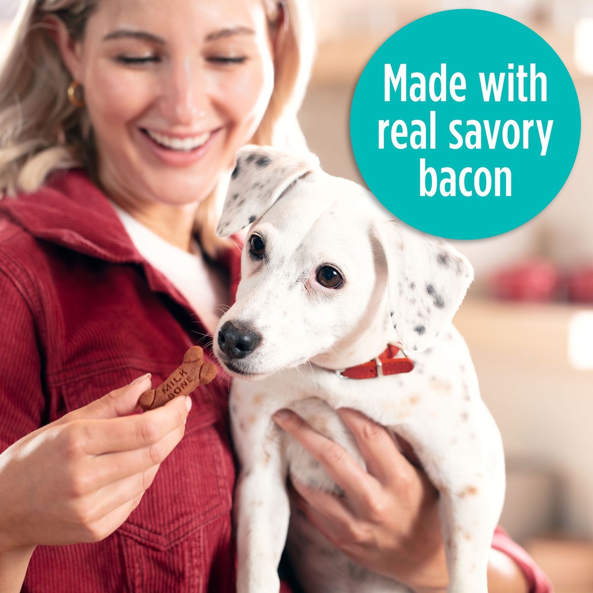 Milk-Bone Real Bacon Soft and Chewy Dog Treats