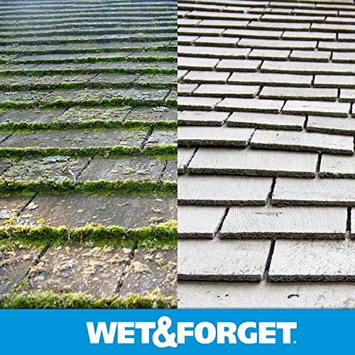 Wet and Forget 10587 1 Gallon Moss， Mold and Mildew Stain Remover