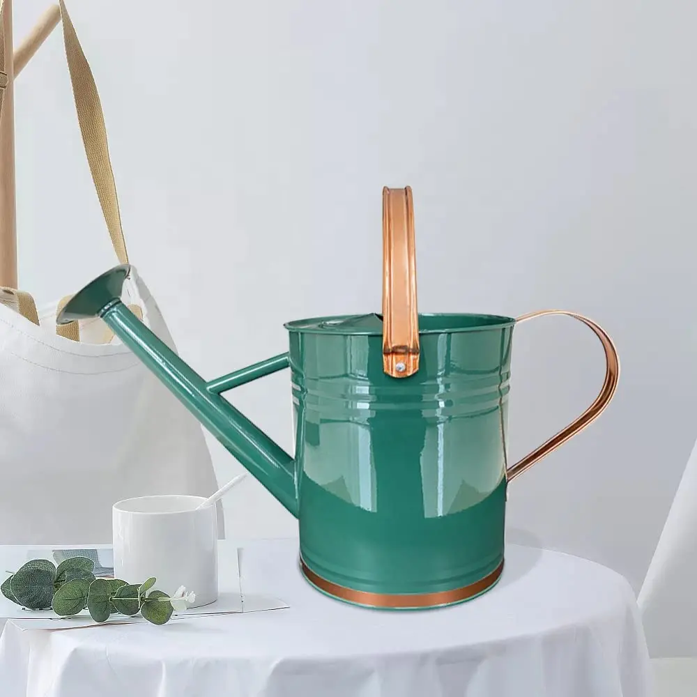 Green   Rose Gold Watering Can Indoor Outdoor Pot for Home Gardening Plants Watering Customize Auto Steel Stainless Tinting