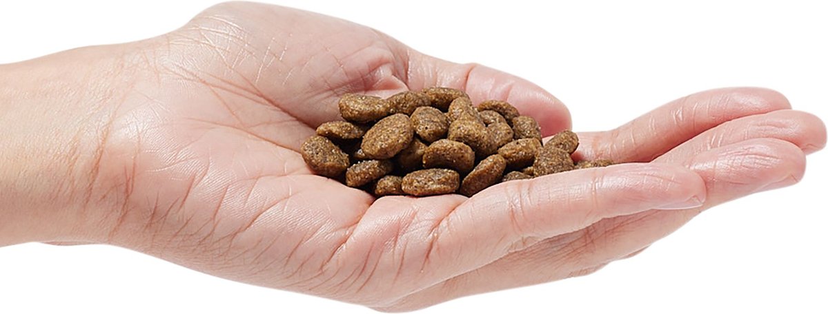 Dr. Pol Healthy Balance Salmon Recipe Grain-Free Dry Dog Food