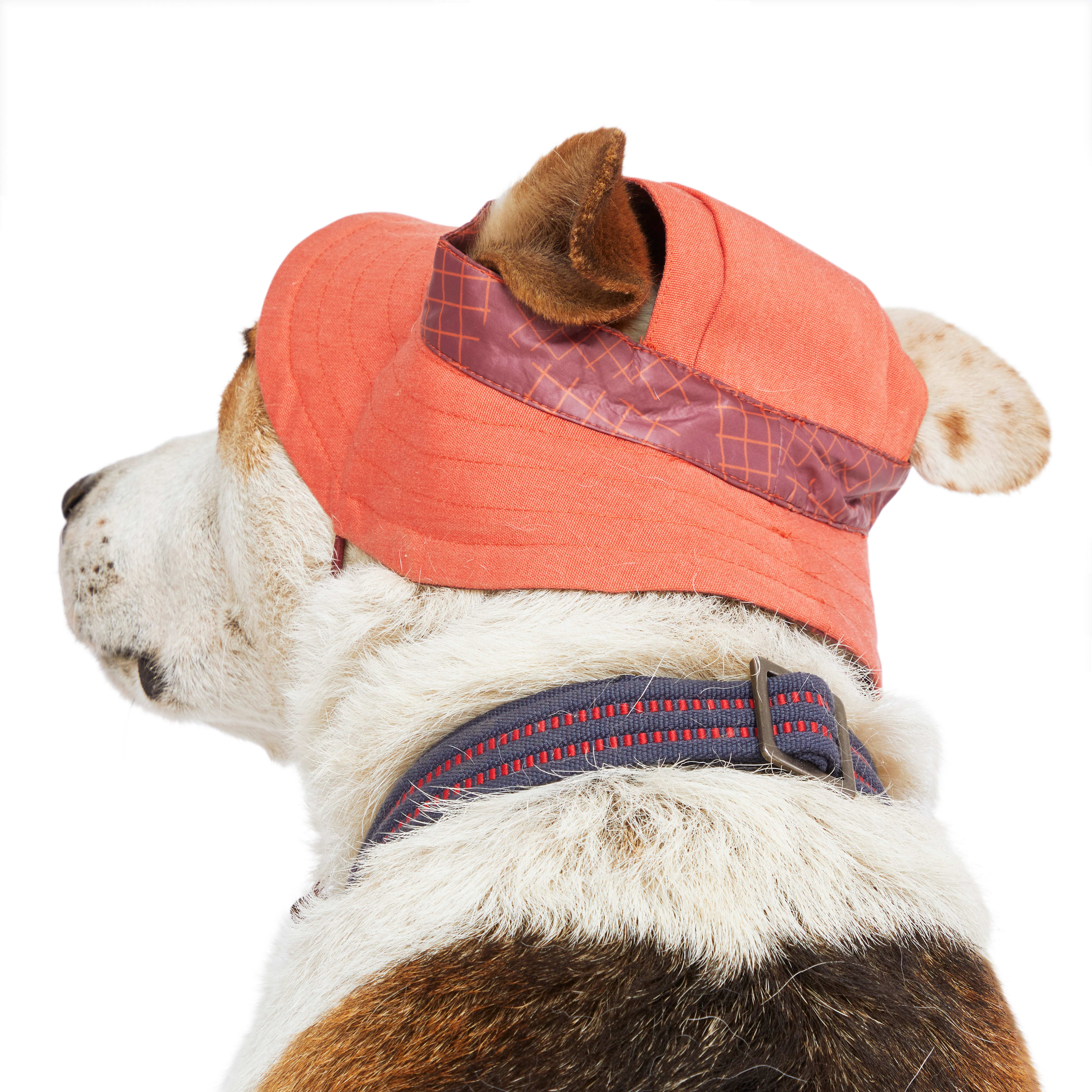 Reddy Orange Bucket Dog Hat， X-Small/Small