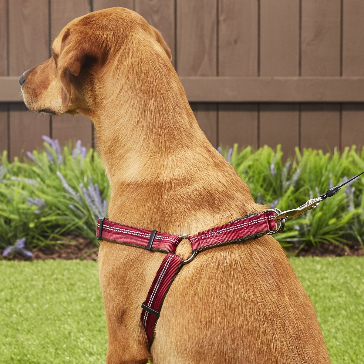 K9 Explorer Reflective Adjustable Padded Dog Harness