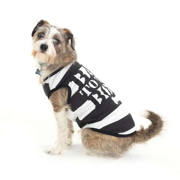 Brybelly MCOS 603 Convict Dog Costume (Small Breed...