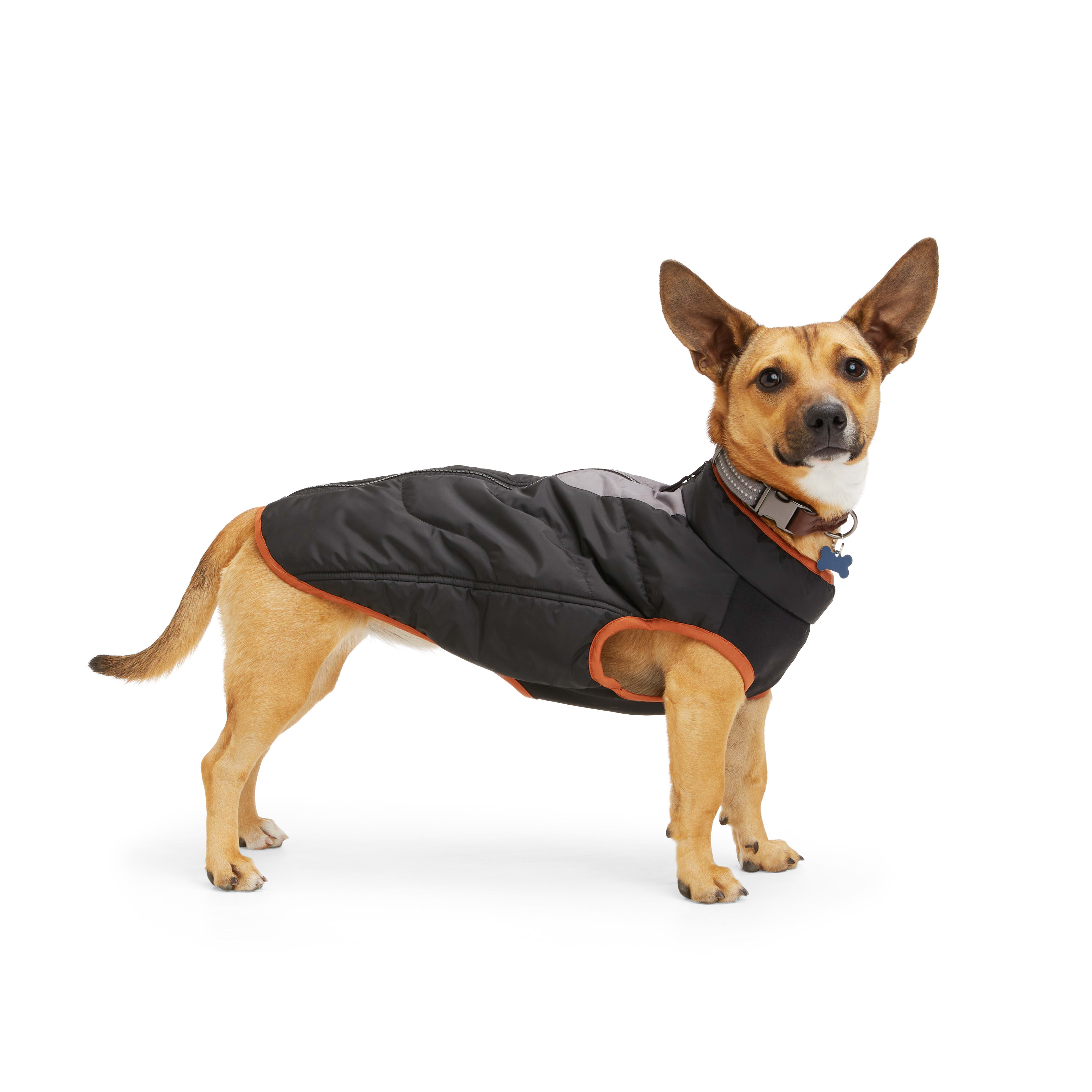 Reddy Black Primaloft Dog Jacket， X-Small