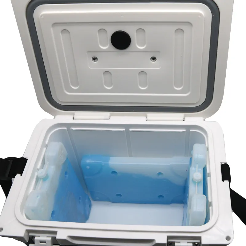 Hiking Fishing Camping Plastic Durable Cooler Box For Picnic