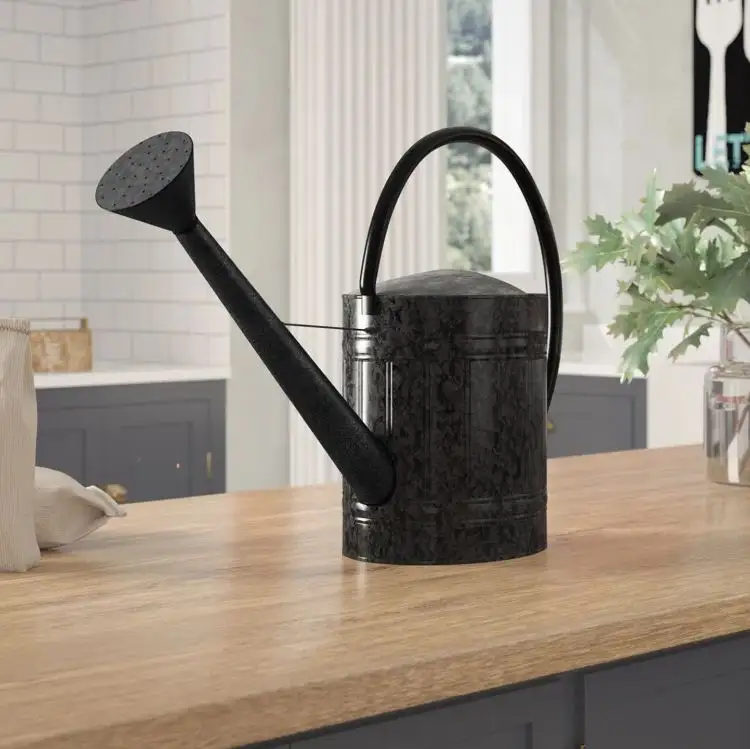 Wholesale metal watering can black for outdoor and indoor plants flowers watering can Home Garden bulk quantity made in india