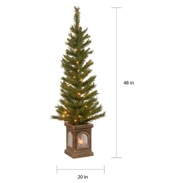 National Tree Company 4 ft. Lehigh Valley Clear Light Pine Entrance Trees (Set of 2)