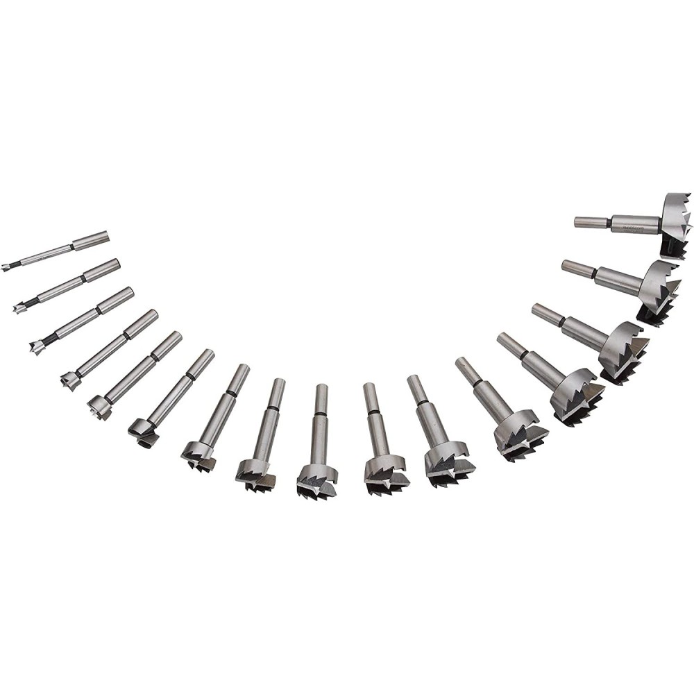 Steelex Forstner Bit Set 1/4 to 2-1/8 16pc ;