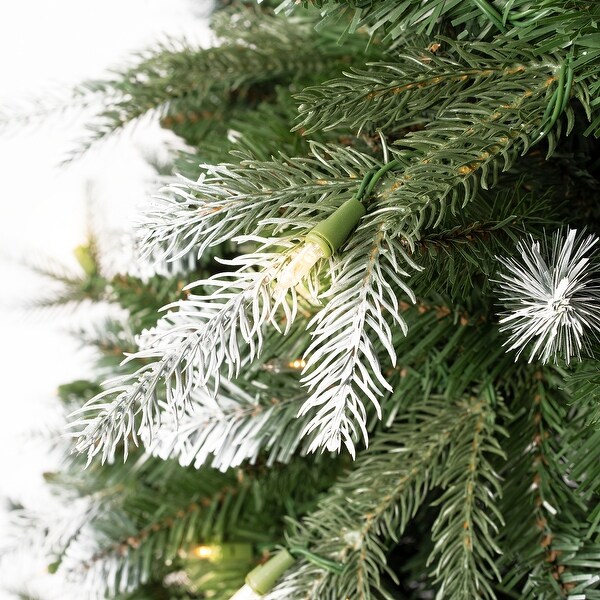 Alberta White Tip Christmas Tree with Lights，Prelit Christmas Tree，Pine Fir with Led Lights，White Painted Tips