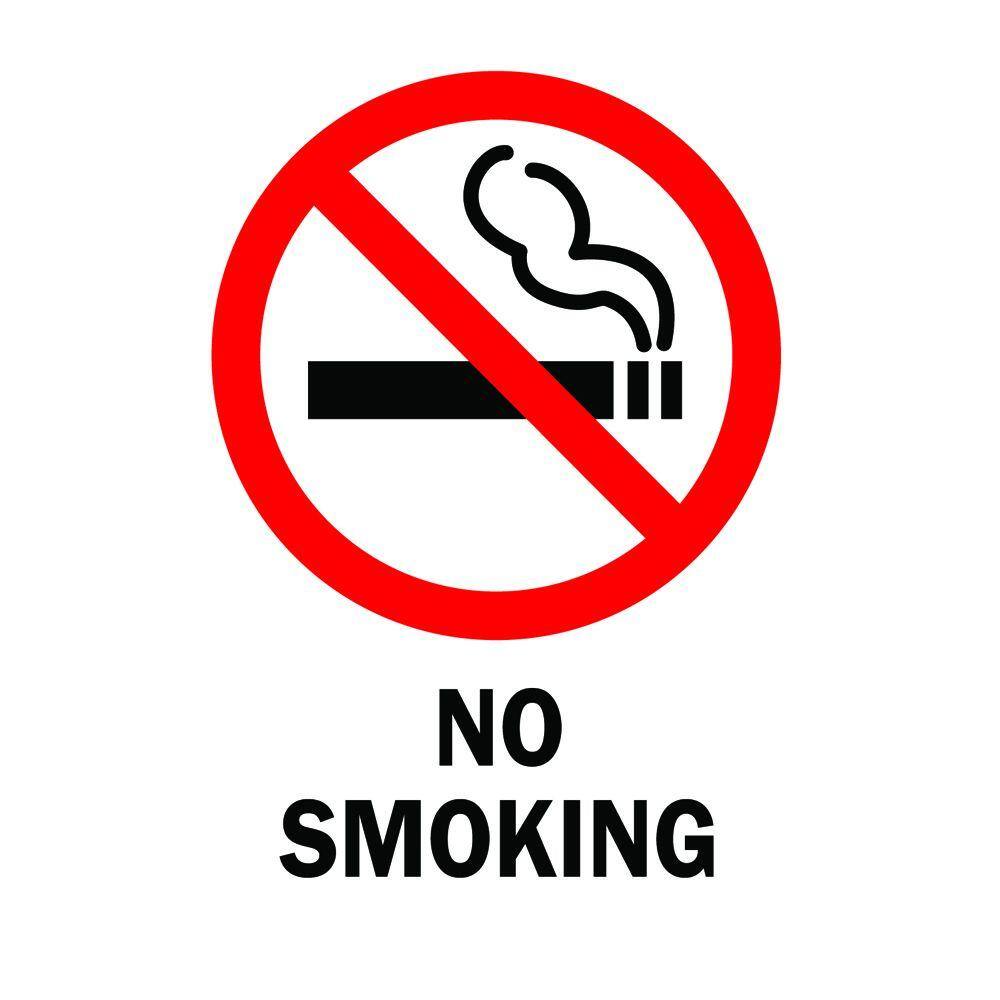 Brady 14 in. x 10 in. Plastic No Smoking Safety Sign 25120