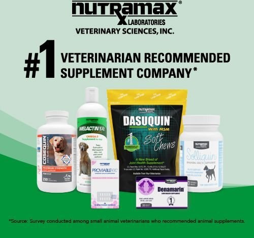 Nutramax Welactin Omega-3 Liquid Skin and Coat Supplement for Dogs